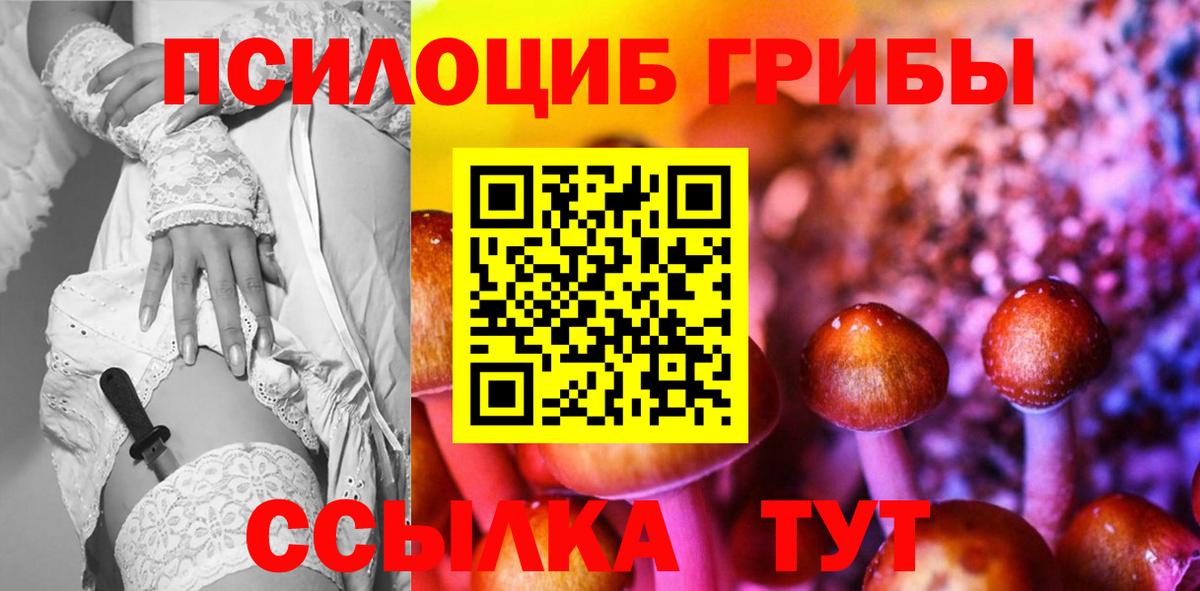Галлюциногенные грибы прущие грибы  Галлюциногенные грибы прущие грибы  Избербаш  Вход с VPN 