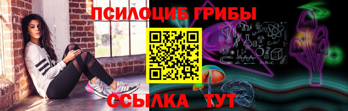 Галлюциногенные грибы прущие грибы Избербаш